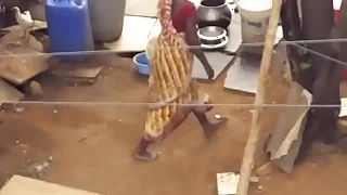 Desi Standing Memorialized and Piss7